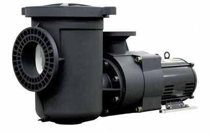 Picture of Pentair EQ Series Commercial Plastic Pool Pump, 5 HP, 230 V, Single Phase, with Strainer | 340030