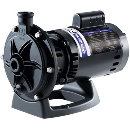 Picture of Polaris PB4-60 Booster Pump Motor, 0.75 HP, 230/115 V, 60 Hz , Single Phase | PB460
