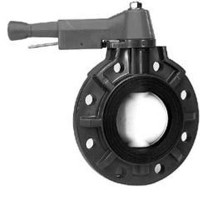 Picture of 6 In.  Butterfly Valve | 0600BFPX0EEWML