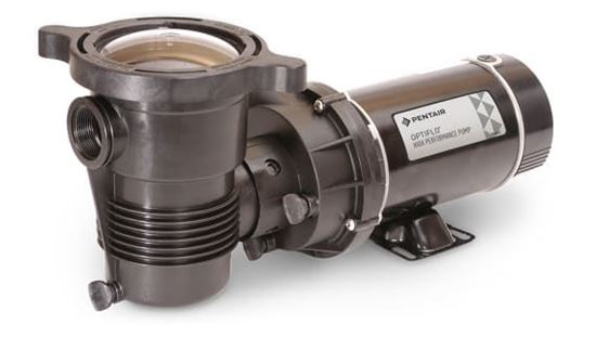 Picture of Pentair OptiFlo Above Ground Pool Pump, Single Speed, 1 HP, 115 V, Vertical Discharge | 348198