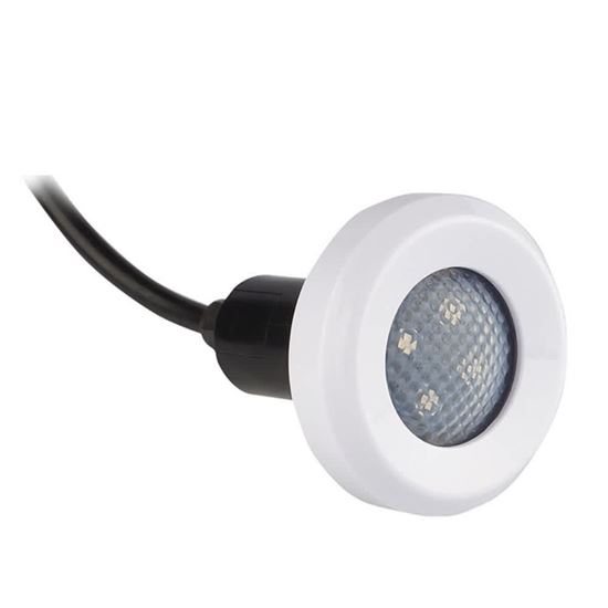 Picture of S.R. Smith Treo Multicolored LED Light, 5 W, 80' Cord | FLED-C-TR