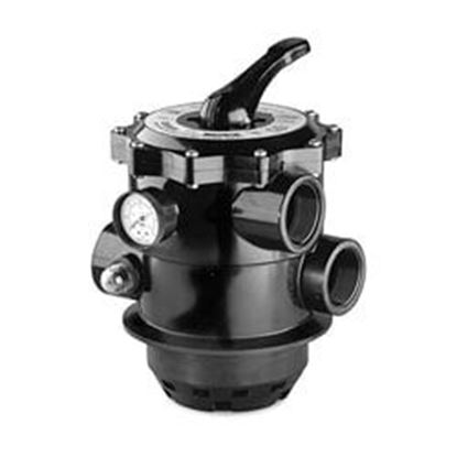 Picture of Pentair Valve 2 Top Mnt Hybrid W/Fittings | 262525