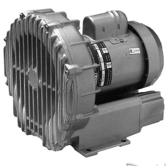 Picture of Commercial Blower, Gast, 1.0hp, 115v/230v, Single Phase R4110-2