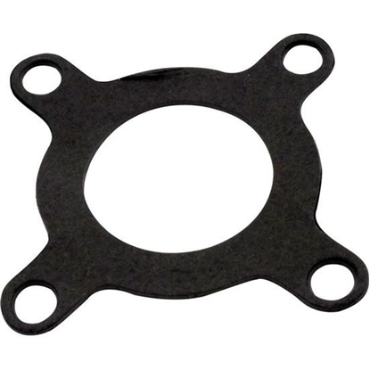 Picture of Gasket  AquaFlo A Series  Volute   91500150