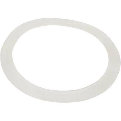 Picture of Gasket, Flat, Waterway Old Faithful Jet 711-7300