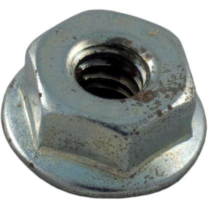 Picture of Nut  Carvin  10-24  Seal  14-3971-03-R