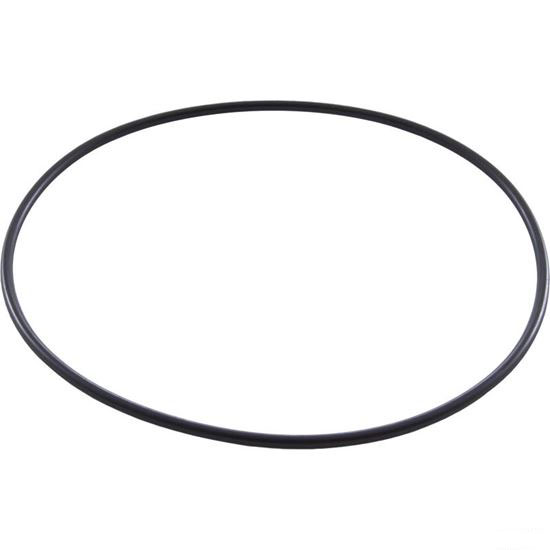 Picture of Zodiac LM3 Cell O-Ring W150181