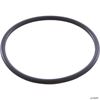 Picture of O-Ring, Zodiac Duoclear, Electrode W151211