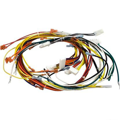Picture of Wire Harness, Pentair, 115v/230v, Heater 42001-0058s