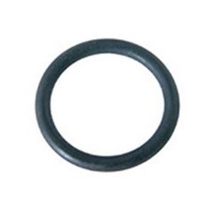 Picture of Filter Part: Bleed Plug O-Ring- 201-002