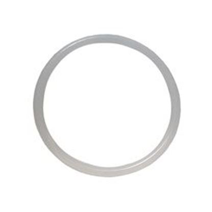 Picture of Jet Part: 3' O-Ring Clear- Rd701-0308