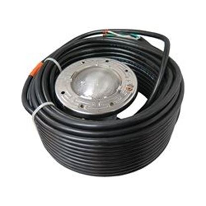 Picture of Pentair 60w 120v Stainless Steel Spabrite Light 100' Cord 78106200