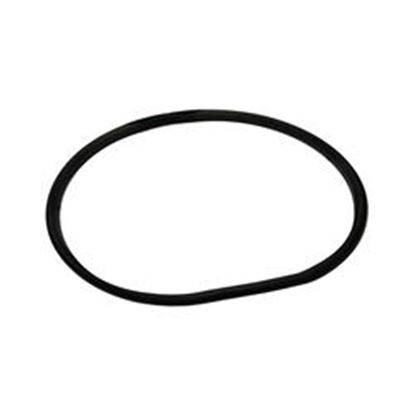 Picture of Pump O-Ring: Volute 6' Trap- 805-0436