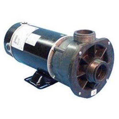 Picture of Pump: .75hp 115v 60hz 2-Speed 48 Frame - 3420310-15