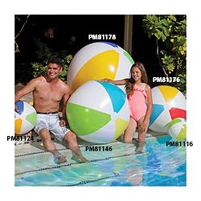 Picture of 16 IN. INFLATABLE BALL PM81116