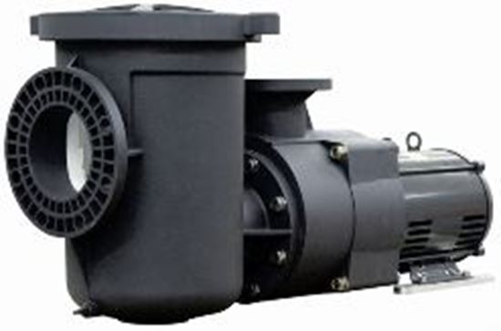 Picture of EQ500 PUMP W/POT 5HP, 1PHASE PF340030