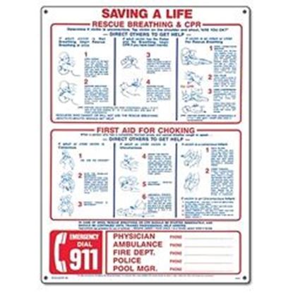Picture of SAVING A LIFE - EMERGENCY/CPR PM40366