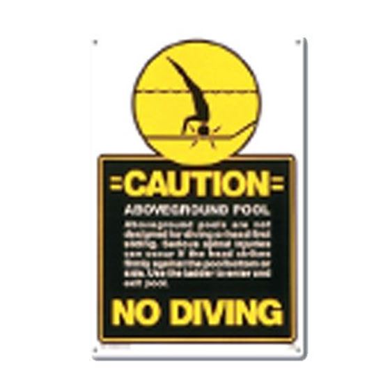 Picture of ABOVEGROUND POOL - NO DIVING PM40346