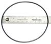 Picture of Zodiac LM3 Cell O-Ring W150181