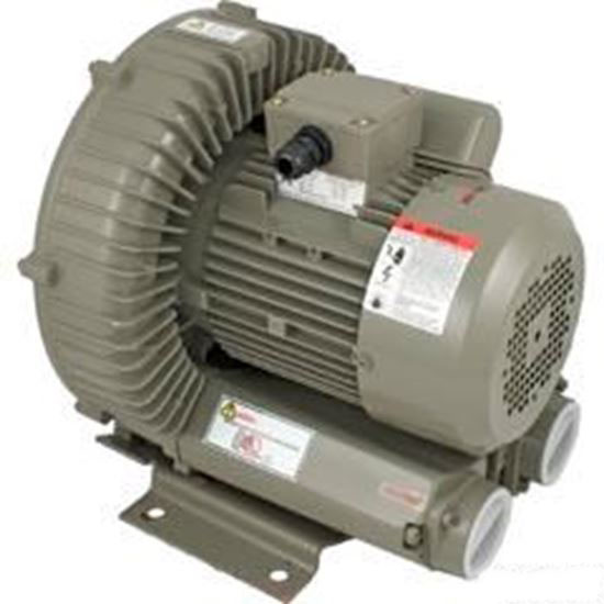 Picture of Commercial Blower, Duralast, 2.0hp, 230v, Single Phase Rbh4-2-2