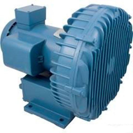 Picture of 3HP, 1PH, 115/230V SPA BLOWER DR555K58