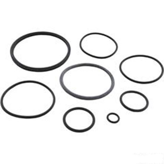 Picture of O-Ring Kit, Zodiac Nature2 Fusion R0502500
