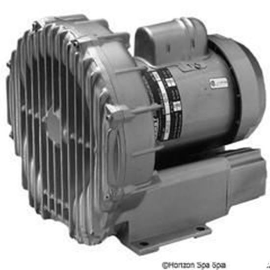Picture of Commercial Blower, Gast, 1.0hp, 115v/230v, Single Phase R4110-2