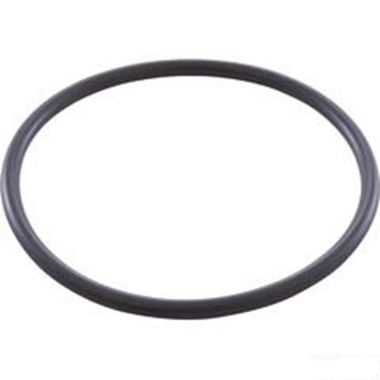 Picture of O-Ring, Zodiac Duoclear, Electrode W151211