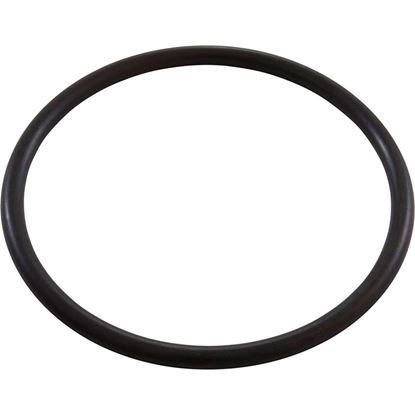 Picture of O-Ring  Zodiac Jandy AquaPur R0738500