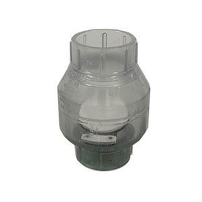 Picture of Check Valve Flo-Control Swing 2"S X 2"S Clear 1520C-20