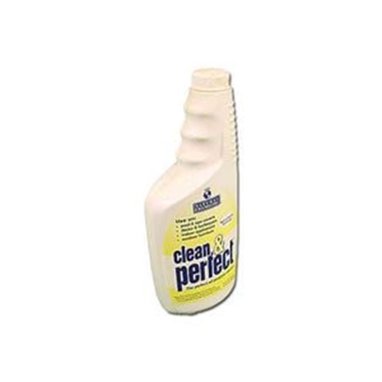 Picture of Cleaning Product Natural Chem Clean & Perfect 22Oz B 176
