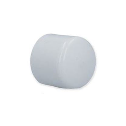 Picture of Fitting Pvc End Cap 1"S 447-010