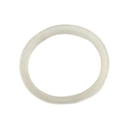 Picture of Gasket Jet Waterway Mini Storm 711-6900