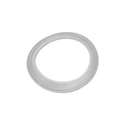 Picture of Gasket Pentair Cyclone Micro Jet 959000