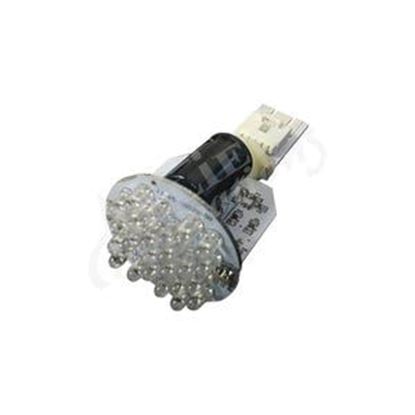 Picture of Led Lighting 24 Led Slave Light Head LSL24-S-2-LC