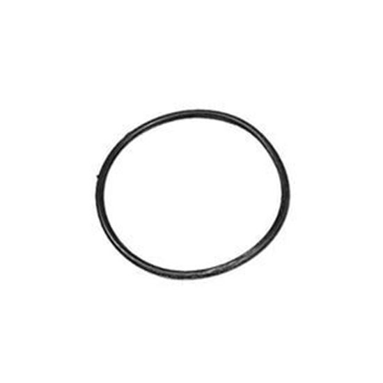 Picture of O-Ring Aquaflo 92200250