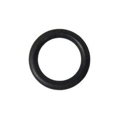 Picture of O-Ring Drain Plug Sundance For Vico Pumps 6500-813