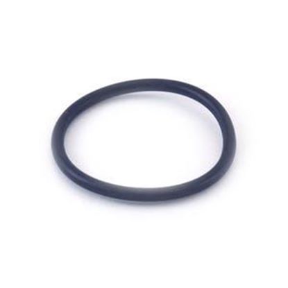 Picture of O-Ring Fits Waterway Mpv 805-0224