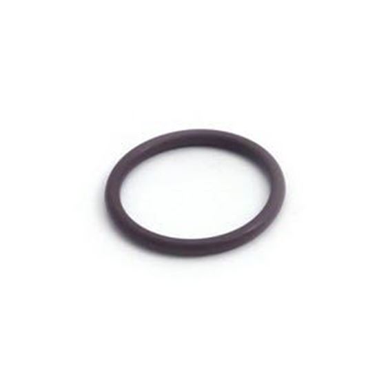 Picture of O-Ring Retainer Ring Waterway 805-0219V