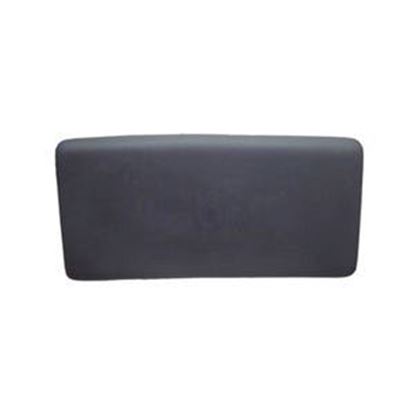 Picture of Pillow Coleman/Maax Oem Small Spa Pillow #1247 Sil 102584