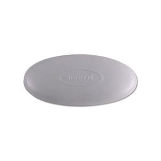 Picture of Pillow Insert Jacuzzi Oval 9" X 4-1/2" Silver 6455-007