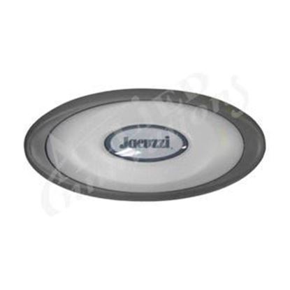Picture of Pillow Sundance/Jacuzzi J-300 Oval 2014+ 2472-824