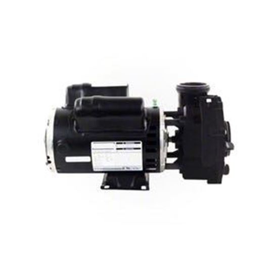 Picture of Pump Aqua-Flo Fmxp2 2.5Hp Sd 48-Frame 2-Speed 230 06125000-1040