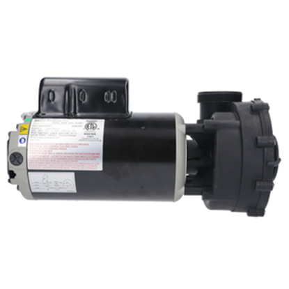 Picture of Pump Sundance Nb1 2.5Hp 230V 10.0 Amp 1-Speed 2" 6500-091