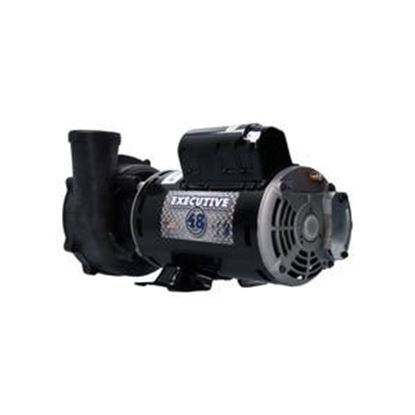 Picture of Pump Waterway Executive 48 3.0Hp 230V 8.5/2.8A 2-S 3421221-1A
