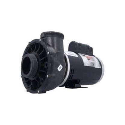 Picture of Pump Waterway Viper 4.0Hp 230V 12.0/4.4A 2-Speed 3721621-1V