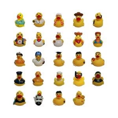 Picture of Rubber Duck Assortment Of 24 Career Ducks K24C
