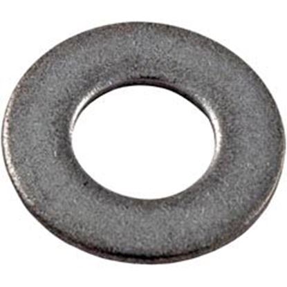 Picture of Washer Pentair Sta-Rite 5/16" U43-41Ss 