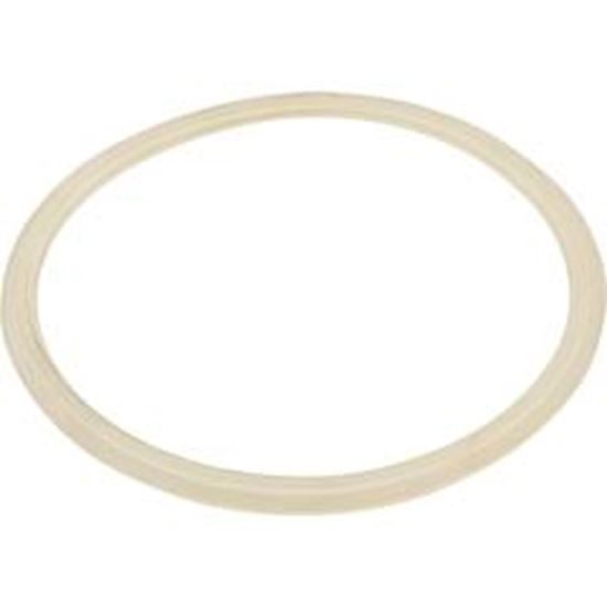 Picture of Skimmer Body Float Valve Gasket 25140-000-040 