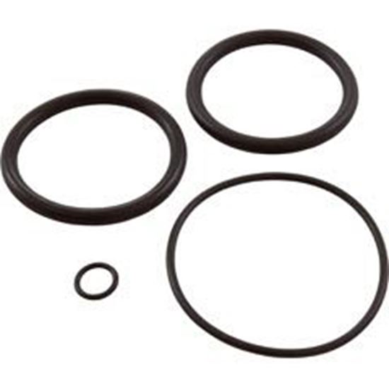 Picture of Valve O-Ring Kit Generic 410X 2" Slide Valve 952281 